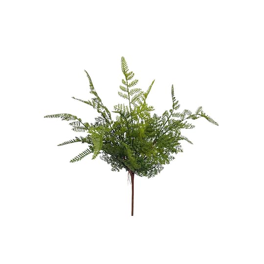 17" Fern Bush by Ashland®
